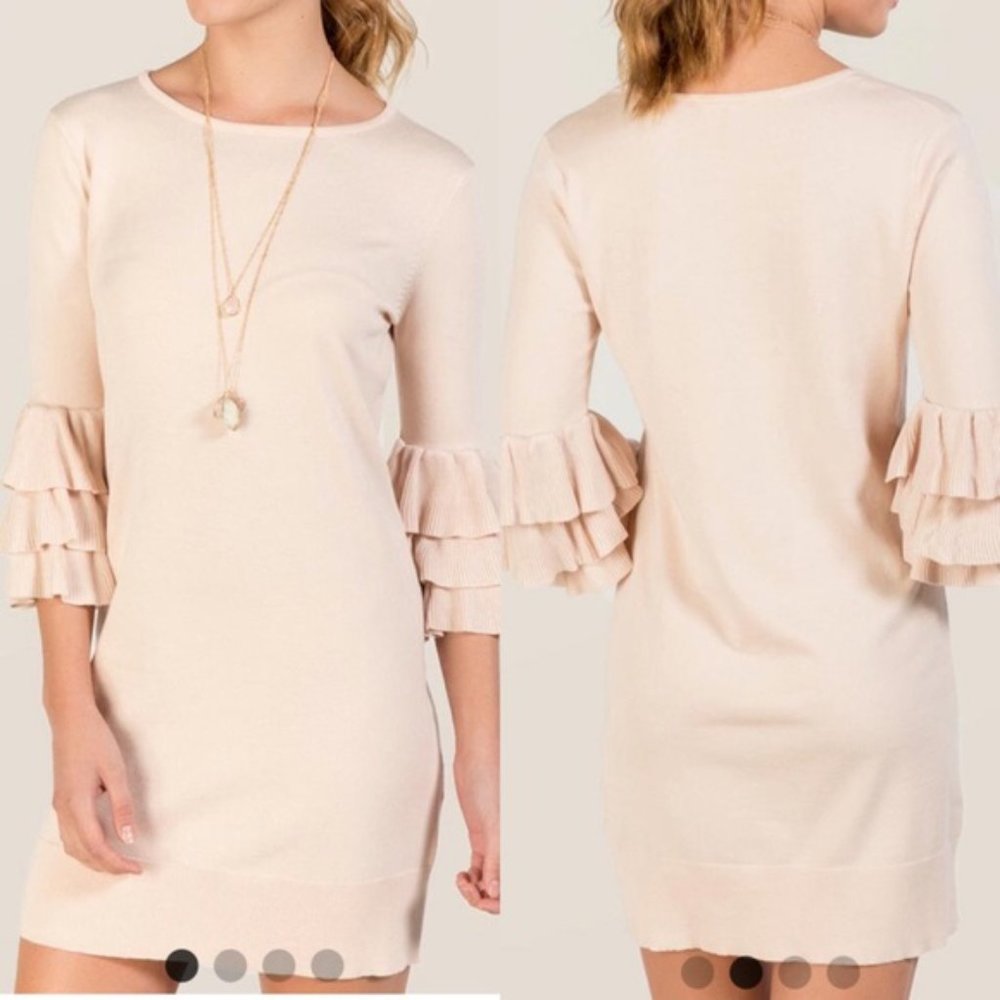 NWT Francesca’s Ruffle Sweater Dress in Pale Pink